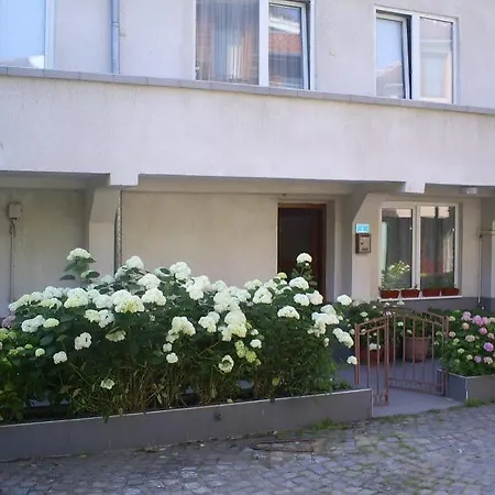 Old Town Apartment Sozopol
